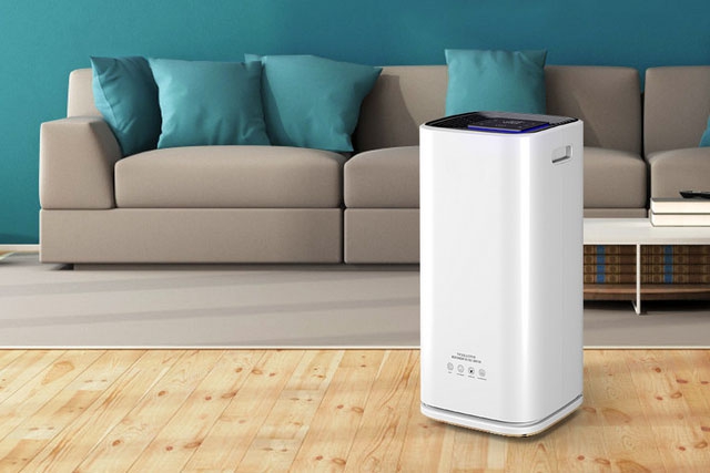 梅雨季節如何保持狗狗身體干燥?