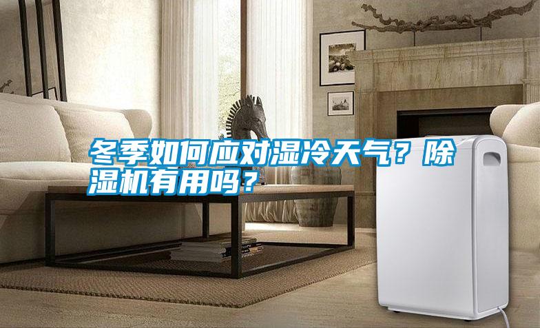 冬季如何應(yīng)對(duì)濕冷天氣？除濕機(jī)有用嗎？
