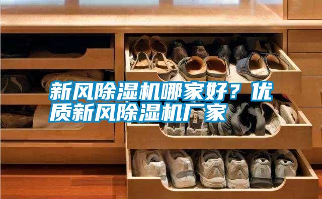 新風除濕機哪家好?優質新風除濕機廠家