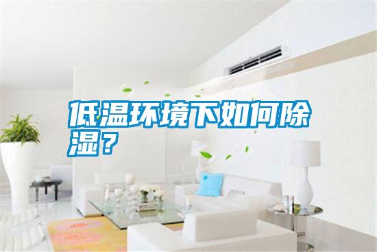 低溫環境下如何除濕?