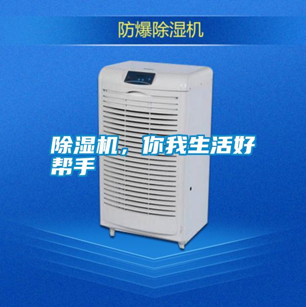 除濕機，你我生活好幫手