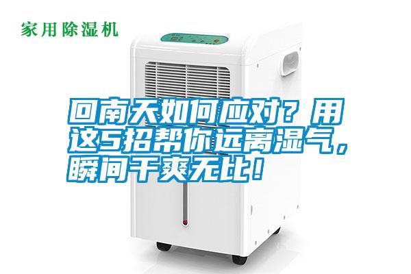 回南天如何應對？用這5招幫你遠離濕氣，瞬間干爽無比！