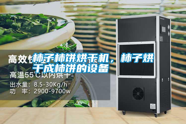 柿子柿餅烘干機，柿子烘干成柿餅的設備