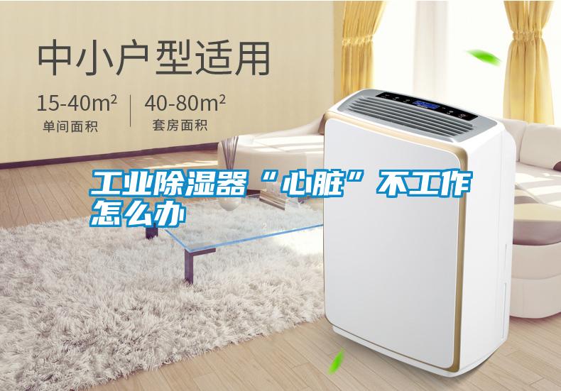 工業除濕器“心臟”不工作怎么辦
