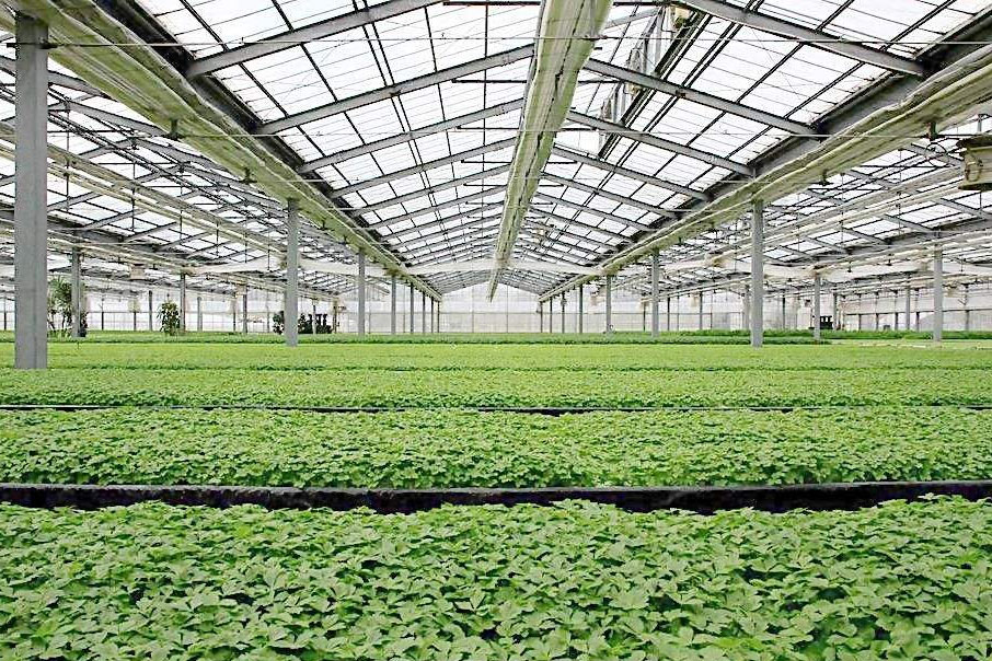 除濕器如何解決高濕度、多種危害的溫室除濕問題？