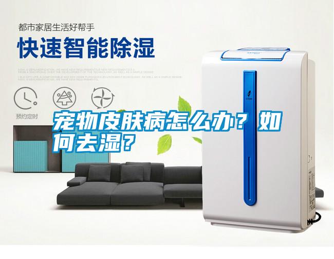 寵物皮膚病怎么辦？如何去濕？