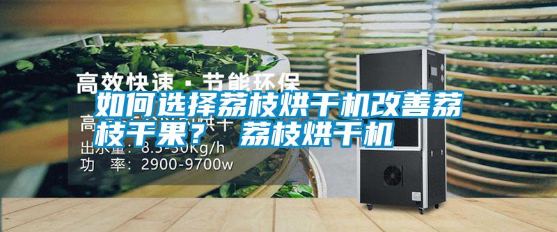 如何選擇荔枝烘干機改善荔枝干果？ 荔枝烘干機