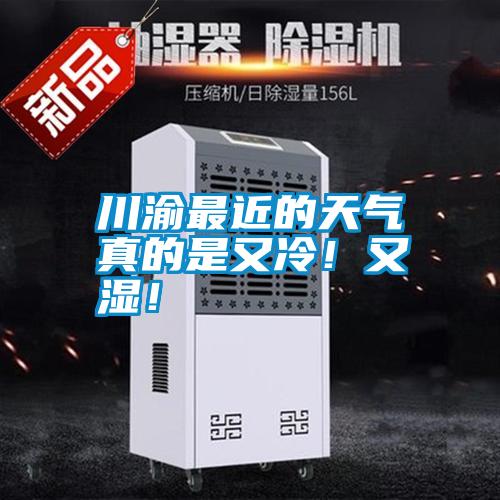 川渝最近的天氣真的是又冷！又濕！