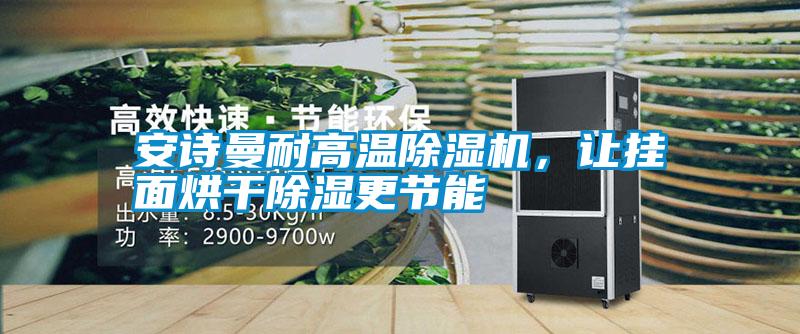 安詩(shī)曼耐高溫除濕機(jī),讓掛面烘干除濕更節(jié)能