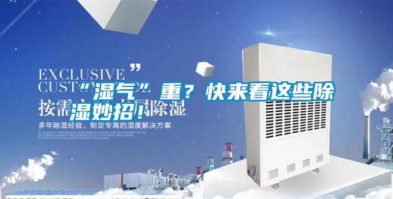 “濕氣”重？快來看這些除濕妙招！