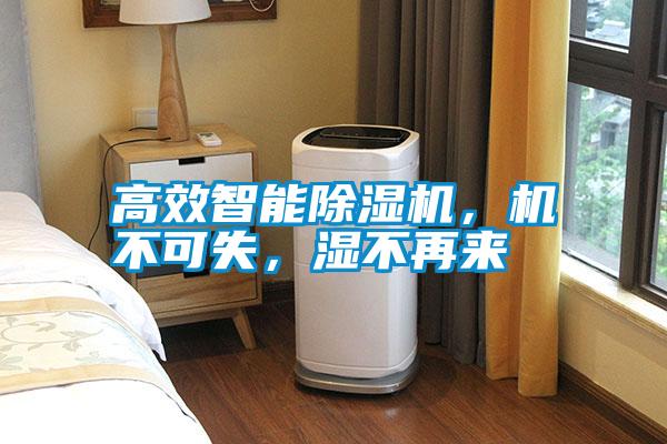 高效智能除濕機(jī)，機(jī)不可失，濕不再來
