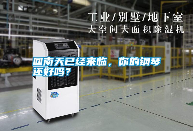 回南天已經來臨，你的鋼琴還好嗎？