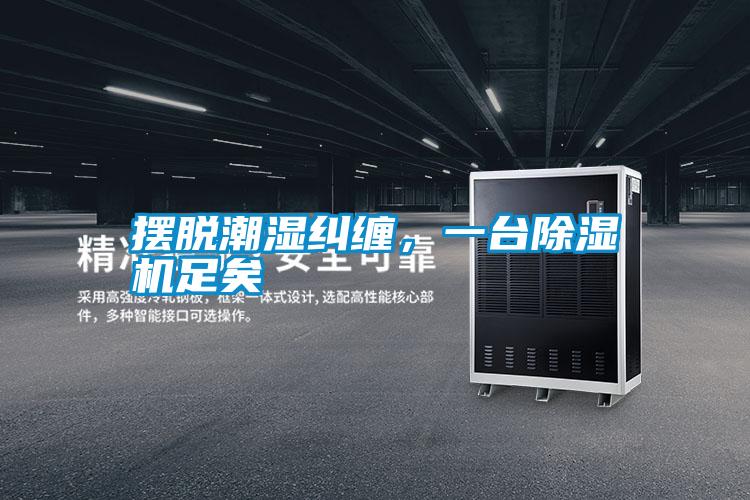 擺脫潮濕糾纏，一臺(tái)除濕機(jī)足矣