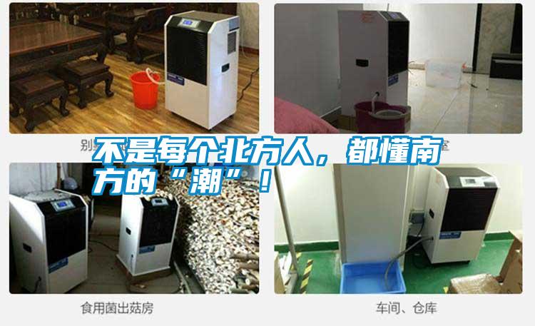 不是每個北方人，都懂南方的“潮”！