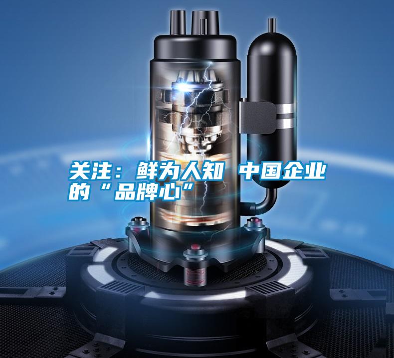 關注：鮮為人知 中國企業(yè)的“品牌心”