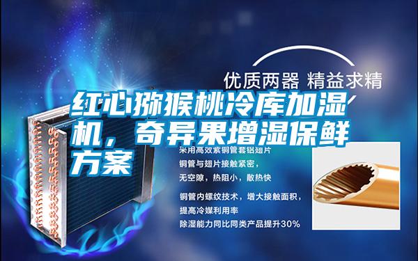 紅心獼猴桃冷庫加濕機，奇異果增濕保鮮方案