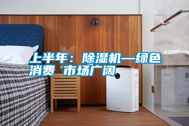 上半年:除濕機(jī)—綠色消費(fèi) 市場廣闊