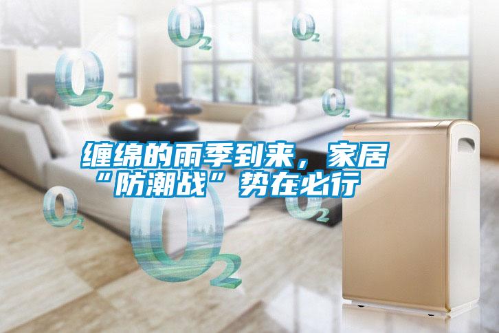 纏綿的雨季到來，家居“防潮戰”勢在必行