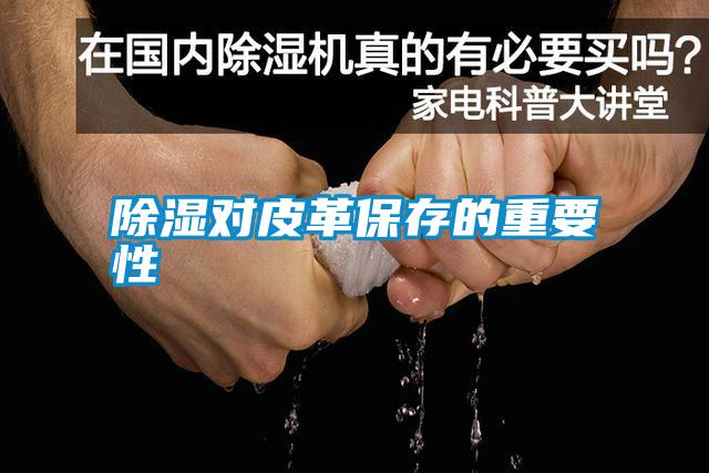 除濕對(duì)皮革保存的重要性