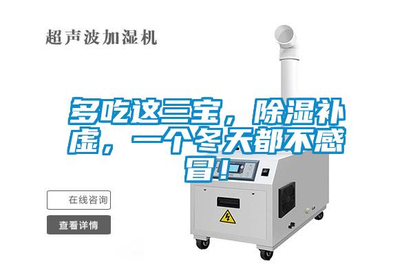 多吃這三寶，除濕補(bǔ)虛，一個(gè)冬天都不感冒！