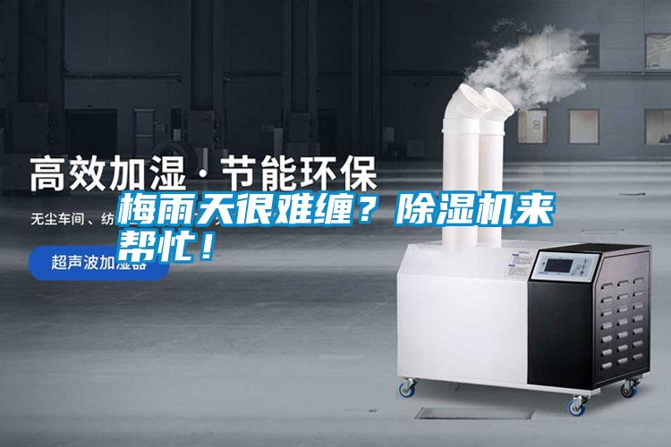 梅雨天很難纏？除濕機來幫忙！