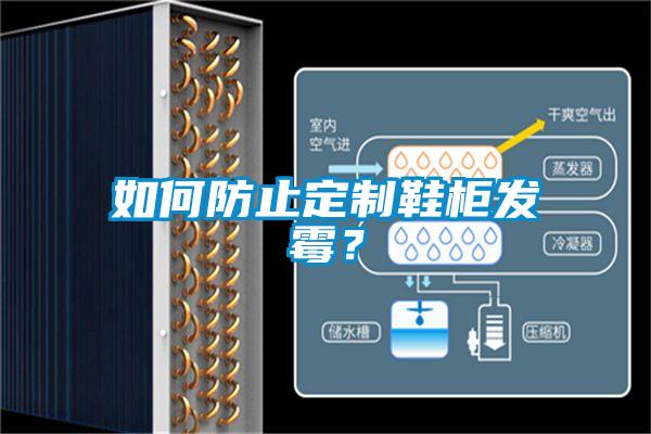 如何防止定制鞋柜發(fā)霉?