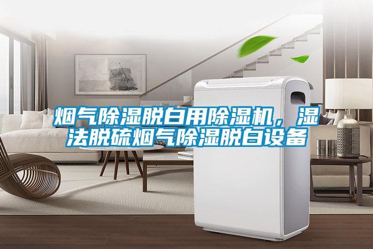 煙氣除濕脫白用除濕機(jī)，濕法脫硫煙氣除濕脫白設(shè)備