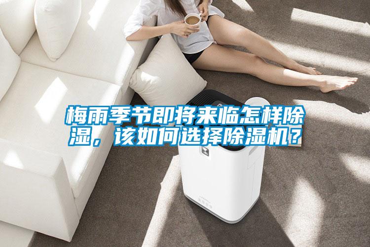 梅雨季節即將來臨怎樣除濕，該如何選擇除濕機？