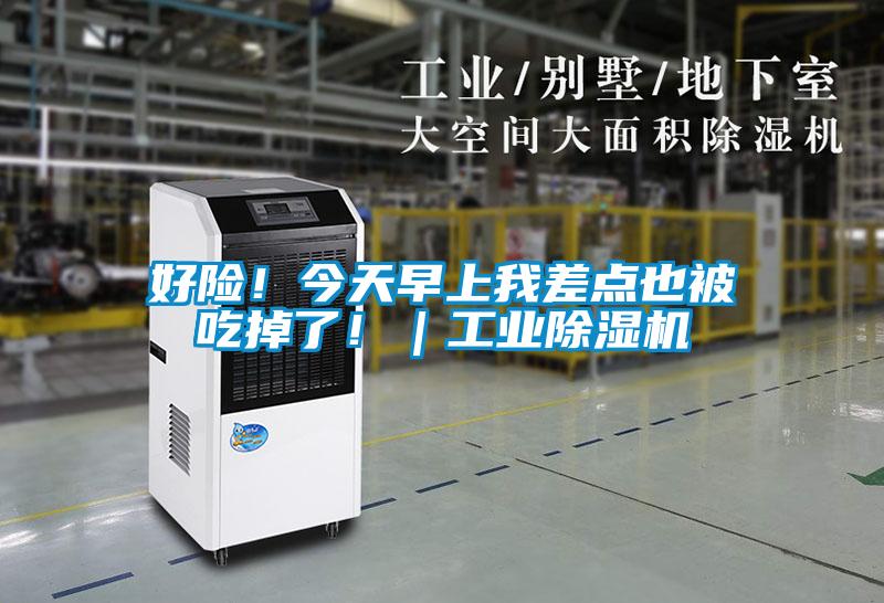 好險！今天早上我差點也被吃掉了?。I除濕機