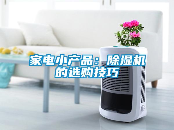 家電小產品:除濕機的選購技巧