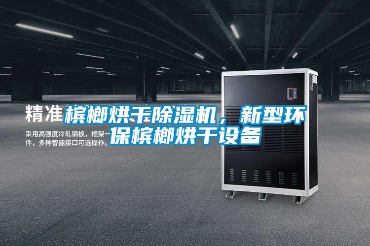 檳榔烘干除濕機,新型環保檳榔烘干設備