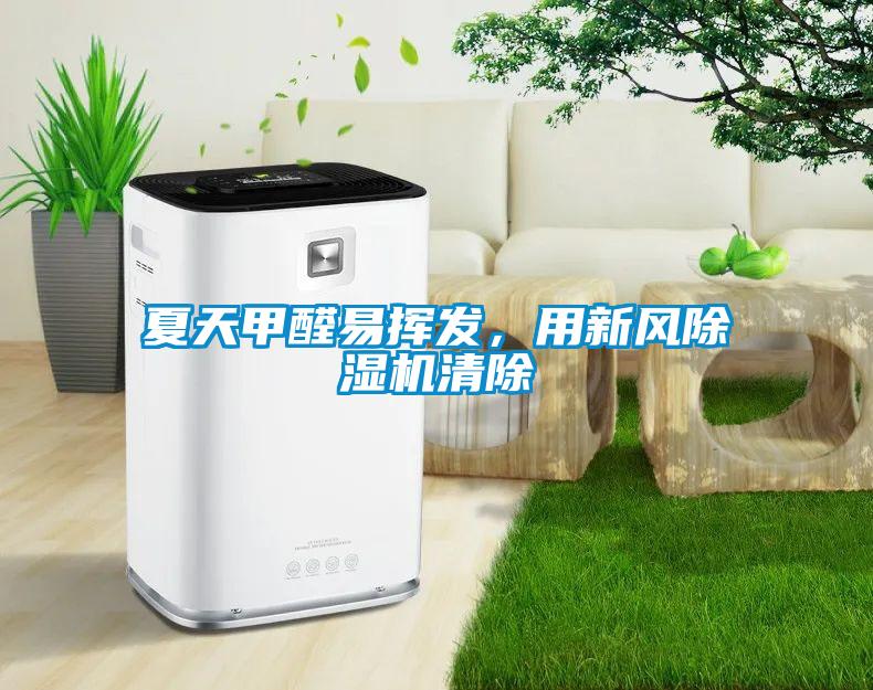 夏天甲醛易揮發，用新風除濕機清除