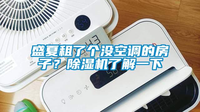 盛夏租了個沒空調的房子？除濕機了解一下