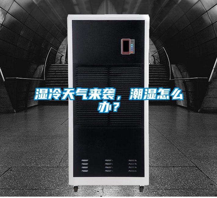 濕冷天氣來襲，潮濕怎么辦？