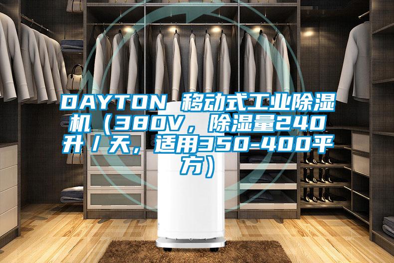 DAYTON 移動(dòng)式工業(yè)除濕機(jī)（380V，除濕量240升／天，適用350-400平方）