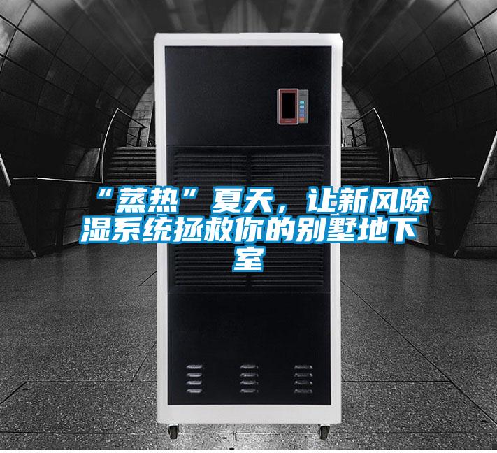 “蒸熱”夏天,讓新風除濕系統(tǒng)拯救你的別墅地下室