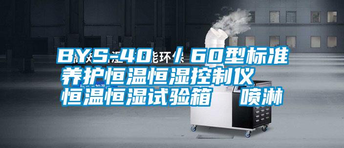 BYS-40 /60型標(biāo)準(zhǔn)養(yǎng)護(hù)恒溫恒濕控制儀 恒溫恒濕試驗(yàn)箱 噴淋