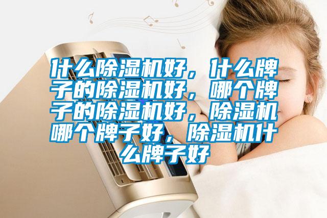 什么除濕機好，什么牌子的除濕機好，哪個牌子的除濕機好，除濕機哪個牌子好，除濕機什么牌子好