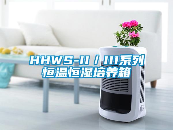 HHWS-II/III系列恒溫恒濕培養箱