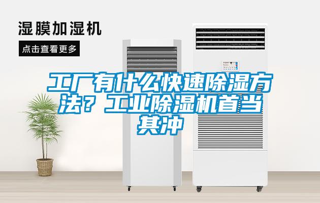 工廠有什么快速除濕方法？工業除濕機首當其沖
