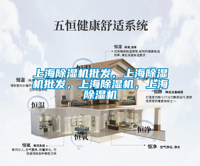 上海除濕機批發(fā)，上海除濕機批發(fā)，上海除濕機，上海除濕機