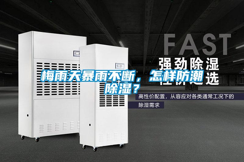 梅雨天暴雨不斷，怎樣防潮除濕？