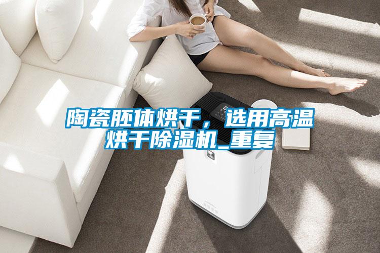 陶瓷胚體烘干,選用高溫烘干除濕機_重復(fù)