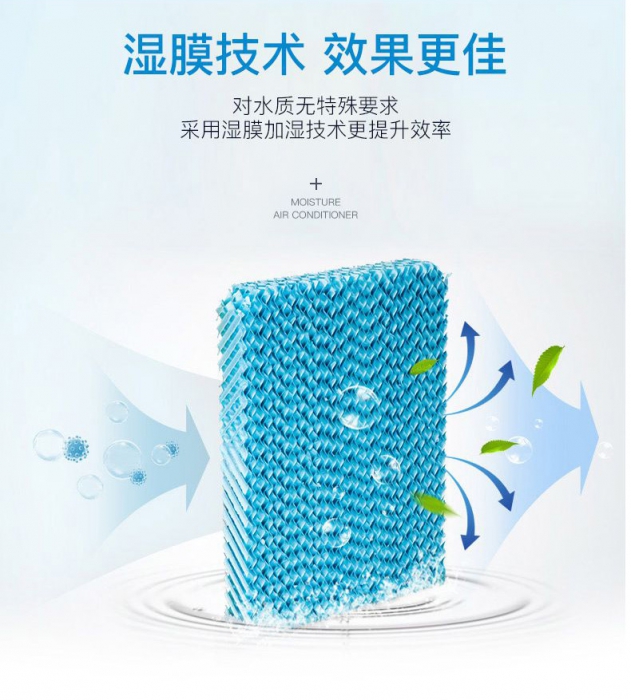 夏季如何驅除體內(nèi)濕氣,了解一下