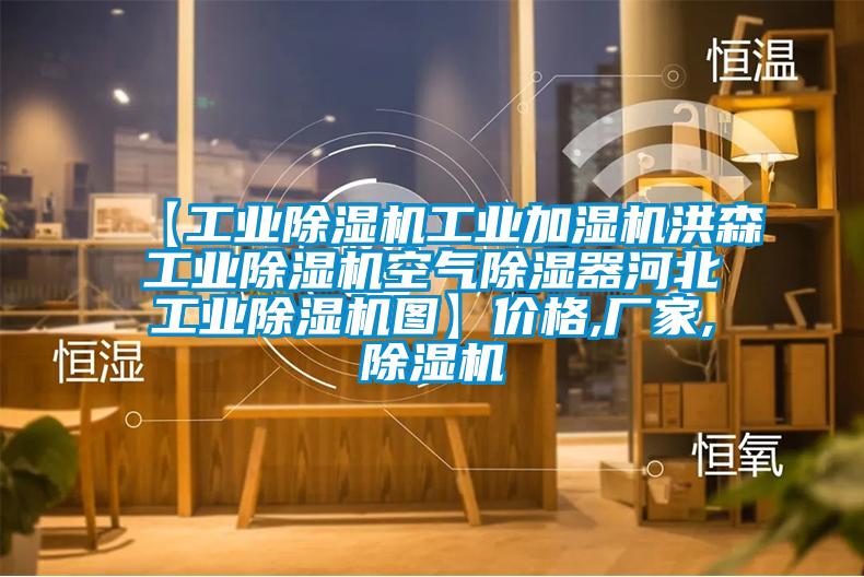 【工業(yè)除濕機(jī)工業(yè)加濕機(jī)洪森工業(yè)除濕機(jī)空氣除濕器河北工業(yè)除濕機(jī)圖】?jī)r(jià)格,廠(chǎng)家,除濕機(jī)