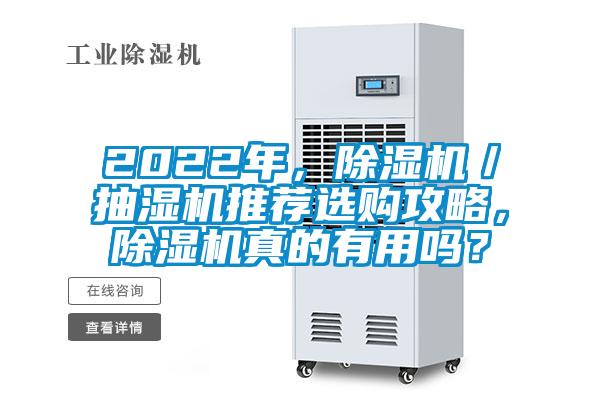 2022年，除濕機／抽濕機推薦選購攻略，除濕機真的有用嗎？