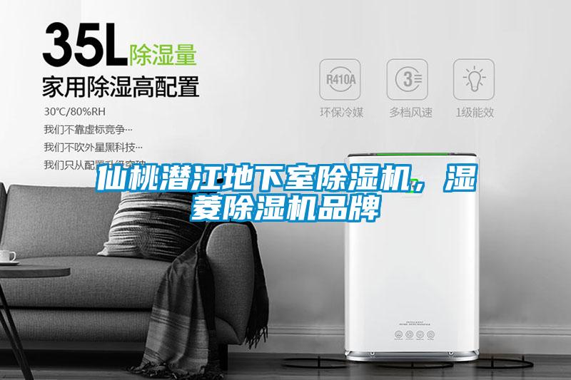 仙桃潛江地下室除濕機，濕菱除濕機品牌