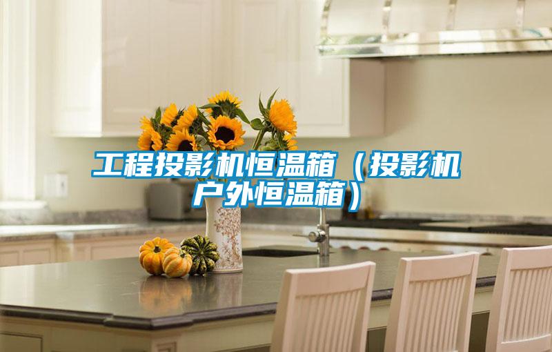 工程投影機(jī)恒溫箱(投影機(jī)戶外恒溫箱)
