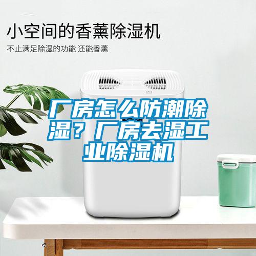 廠房怎么防潮除濕？廠房去濕工業(yè)除濕機