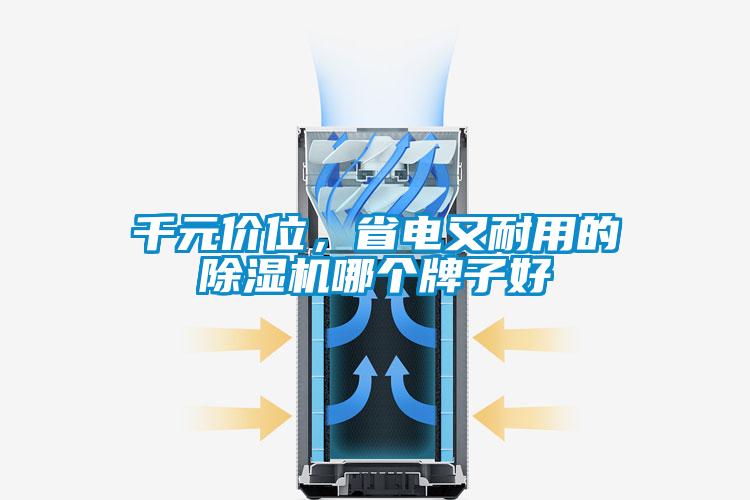 千元價位，省電又耐用的除濕機哪個牌子好
